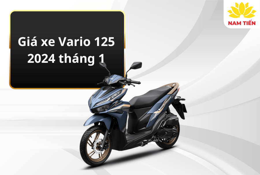 gia-xe-vario-125-2024-thang-1