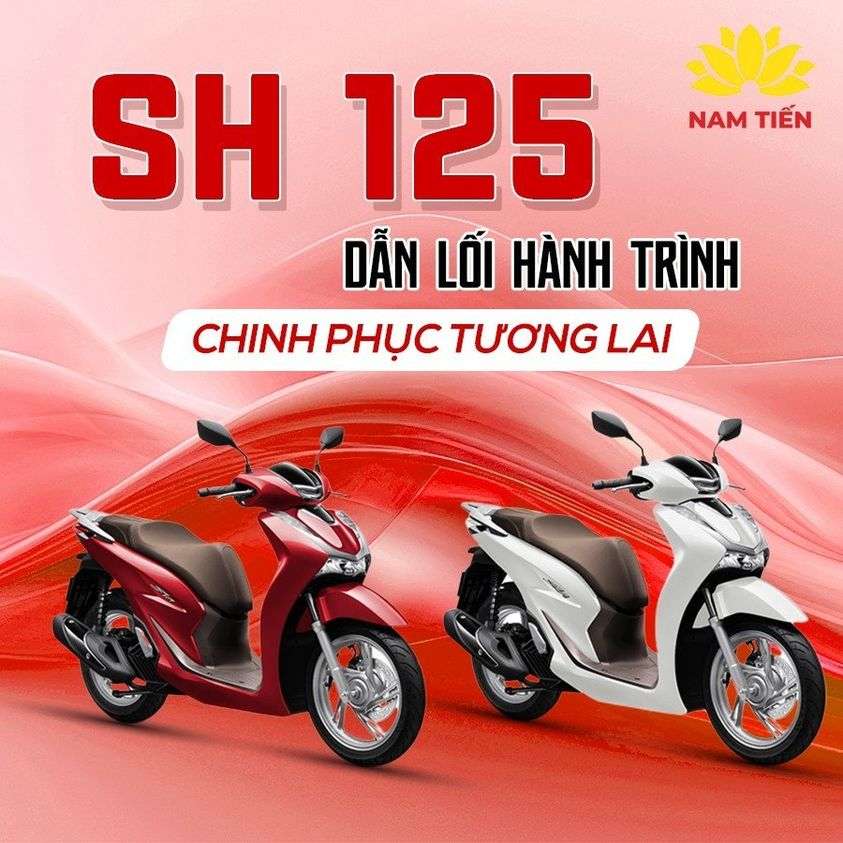 sh-2024-co-bao-nhieu-phien-ban