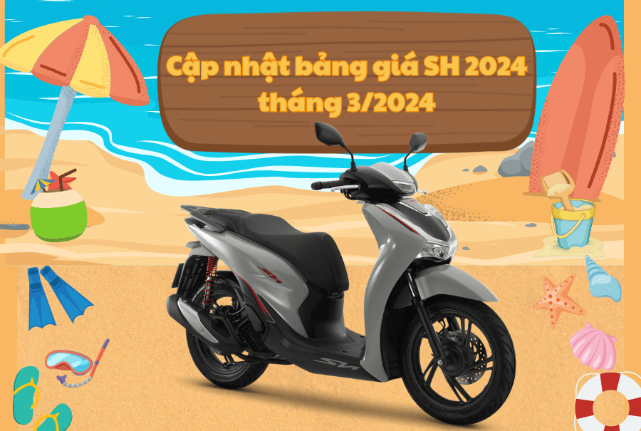 cap-nhat-ban-gia-sh-2024-thang-3-2024