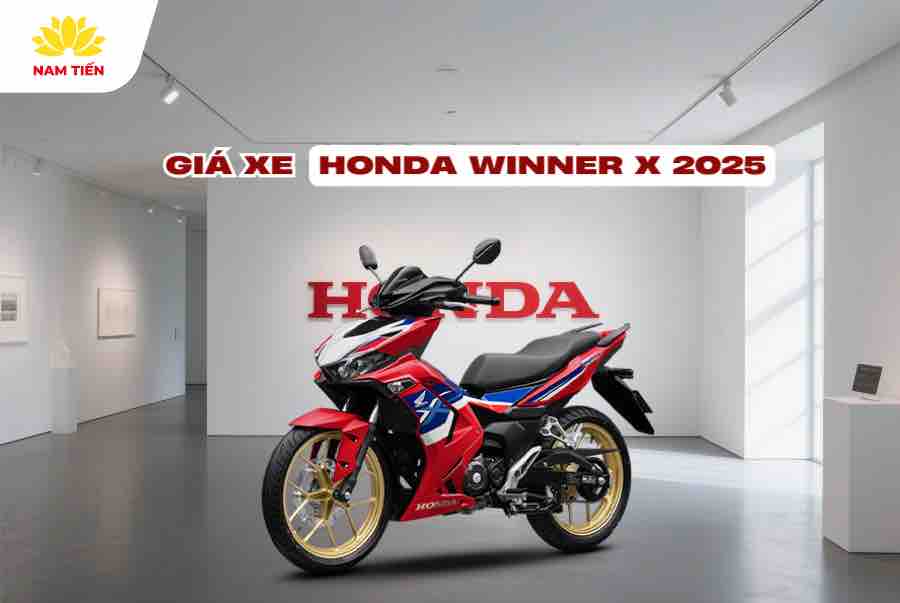 gia-xe-winner-x-2025