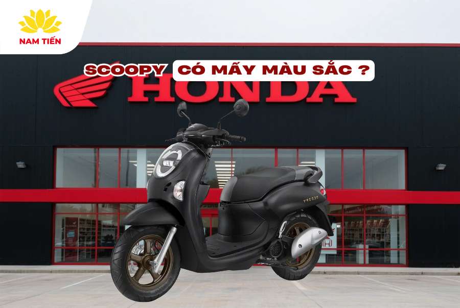 Xe scoopy 2025 có mấy màu