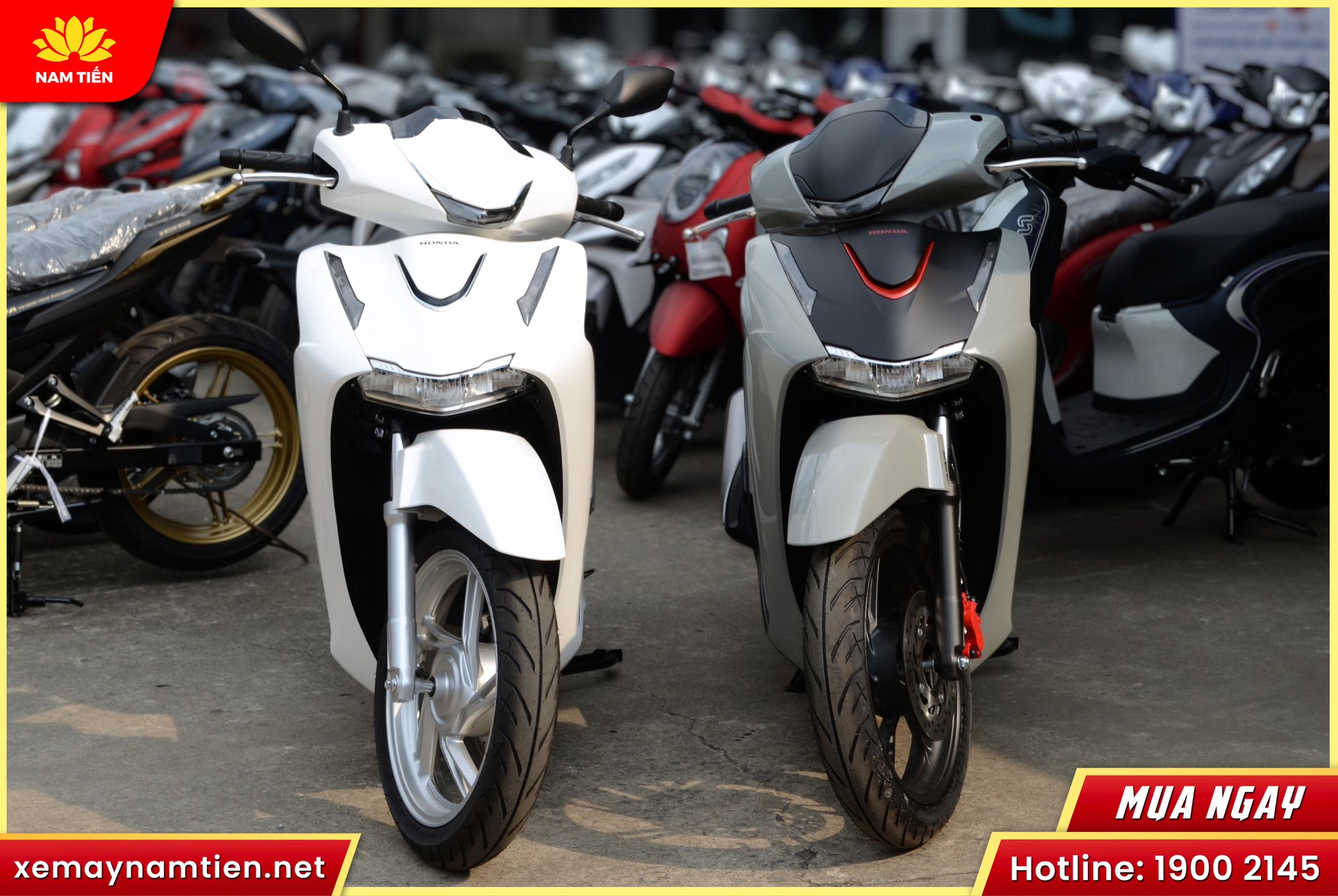 Honda SH 2026 Có Mấy Màu? Những Nâng Cấp Đáng Chú Ý