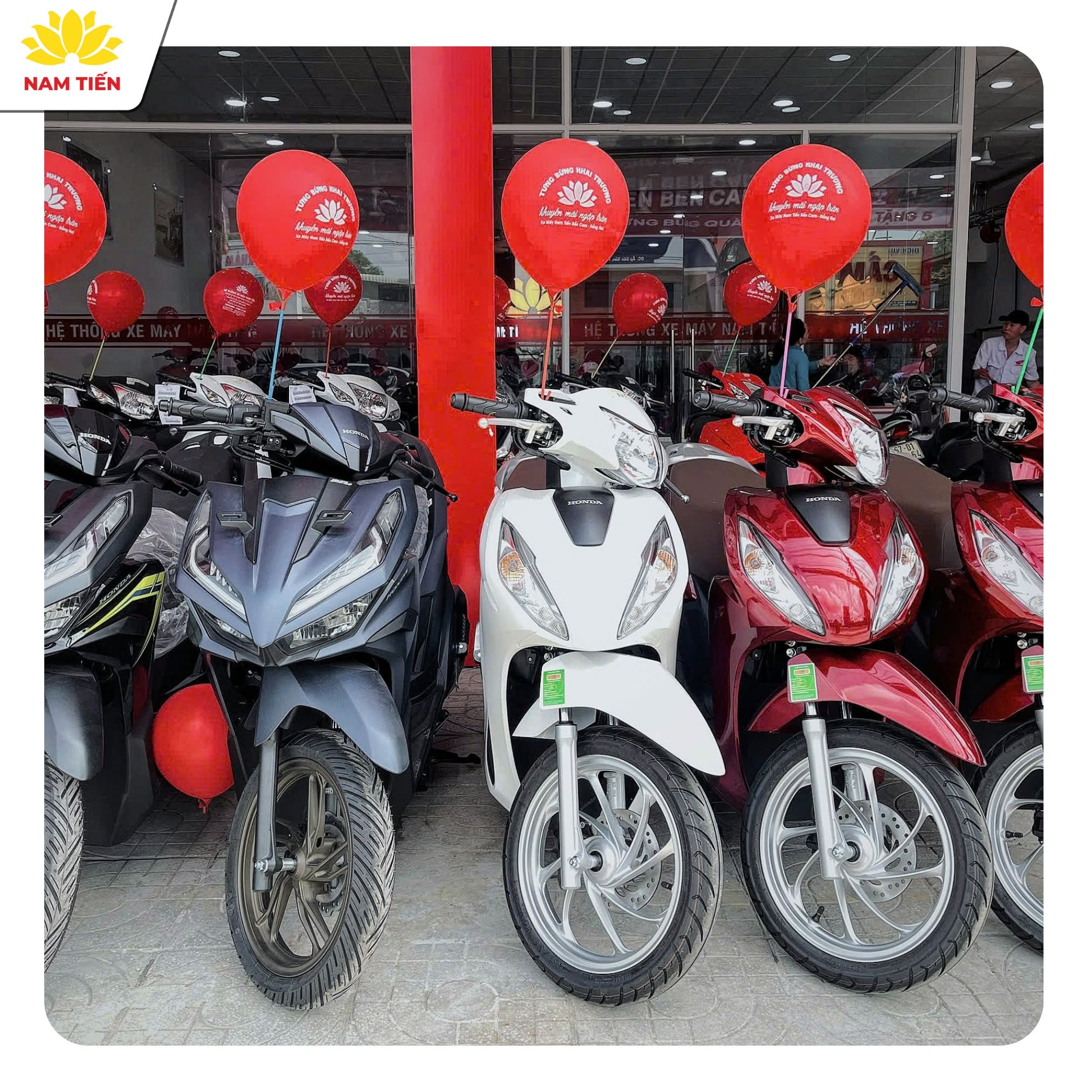 Kinh Nghiệm Trải Nghiệm Và Mua Xe Trực Tiếp Tại Cửa Hàng