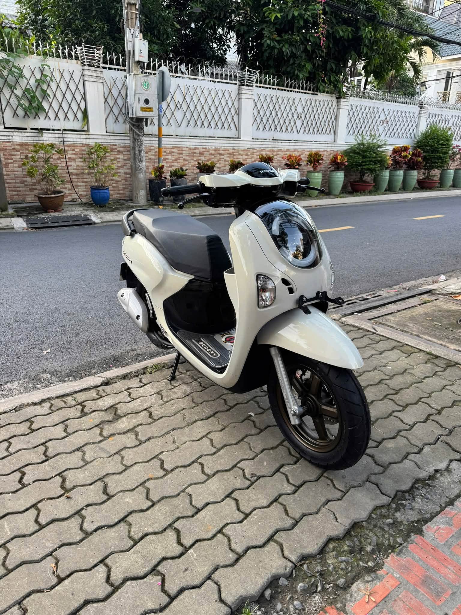 Xe Scoopy giá bao nhiêu? Mua Honda Scoopy nhập khẩu ở đâu?